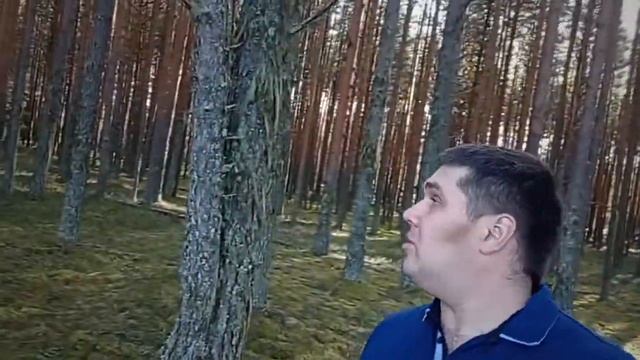 Вилар. Работа водителя 13.10.2020 - 17.10.2020 г. смотреть онлайн