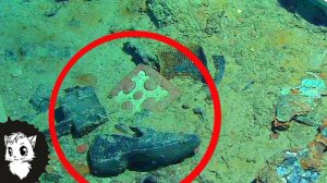 КУДА ИСЧЕЗЛИ ВСЕ ТЕЛА С ТИТАНИКА [Белый кот]