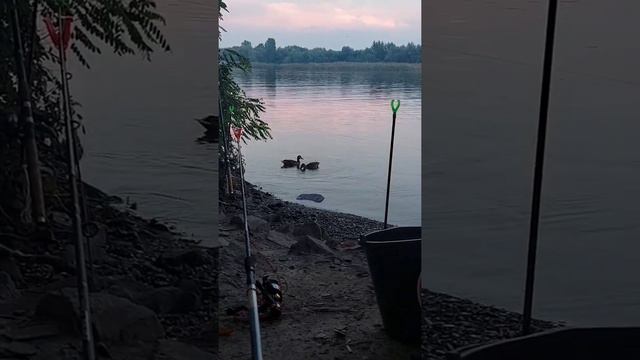 Я люблю тебя Россия смотреть онлайн