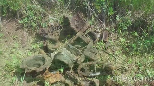 Два дня на даче.Пополнение копилки. смотреть онлайн