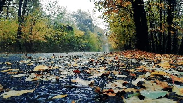 Звуки Дождя И Грозы|Звуки Дождя и грозы для сна и медитаций? смотреть онлайн