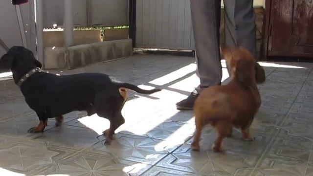 Пора бросать курить смотреть онлайн