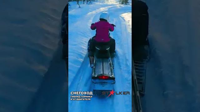 Капитан отдыхает! Снегоход Stalker слушается новичка!