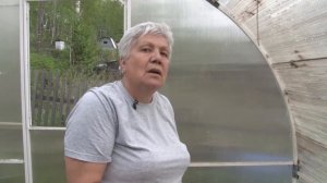 Голова садовая - Высаживаем томаты правильно!