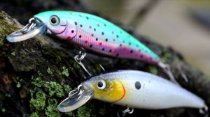 5 ЛУЧШИХ ВОБЛЕРОВ ДЛЯ РЫБАЛКИ НА СУДАКА