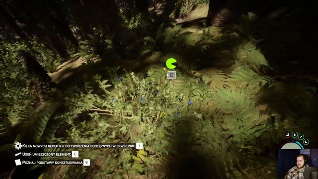 Sons Of The Forest #1 Przygoda w lesie | I5 7400\GTX 1050TI\ 24GB RAM | смотреть онлайн