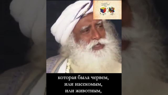Философия жизни _ Садхгуру смотреть онлайн