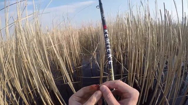 КРУПНЫЕ КАРАСИ-КАБАНЮКИ ЗАШЛИ В ЭТОТ КАМЫШ И КЛЮЮТ С КАЖДОГО ЗАБРОСА!!! Ловля карася. Рыбалка.
