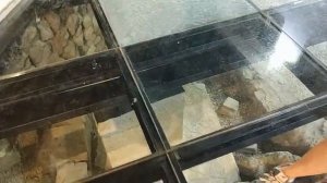 Турция. Что посмотреть в Сиде