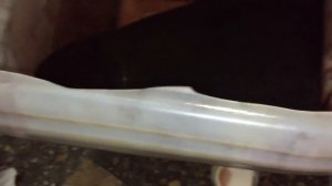 Captiva. Меняем сальник заднего привода, масло в АКПП, раздатке/дифференциале и немного о дворниках