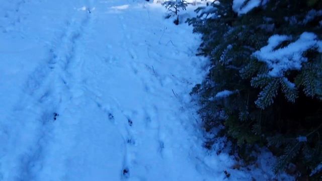 ЖАБЛЯК ЗИМОЙ смотреть онлайн