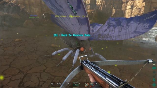 ARK Scorched Earth - В поисках шелкопряда смотреть онлайн