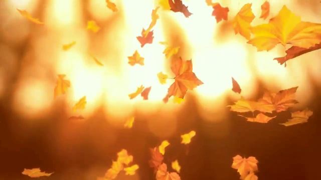 ЛАРИСА ЖУЙКОВА исполняю Караоке cover "САМОЦВЕТЫ - ЛИСТЬЯ ЖЁЛТЫЕ" смотреть онлайн