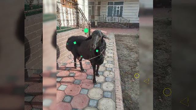 28 июня 2023 г. смотреть онлайн