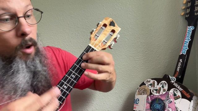 When I’m Sixty Four -The Daily Ukulele Songbook #youtube #wagohowardhanahou #howtoplay #chords смотреть онлайн