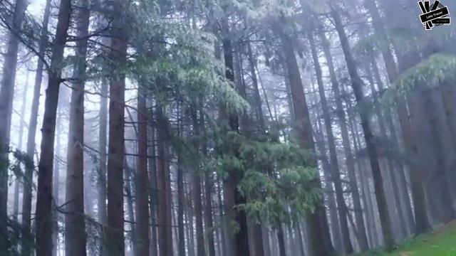 Dalhousie best 5 places || Best places in Dalhousie for tourist || Dalhousie tourist places смотреть онлайн