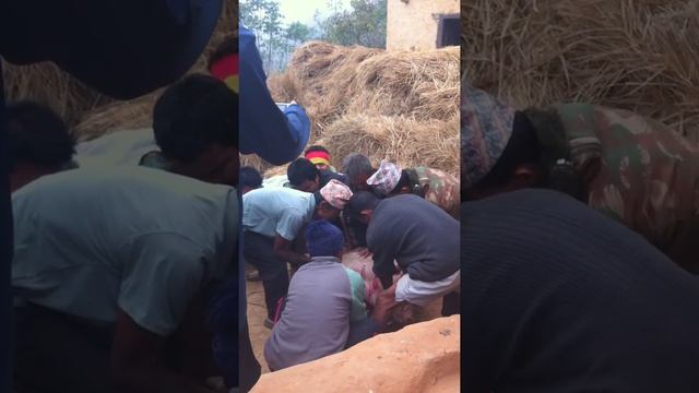 Nepali Pig Murder смотреть онлайн
