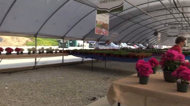 Spring Trials 2019: Vista Farms смотреть онлайн