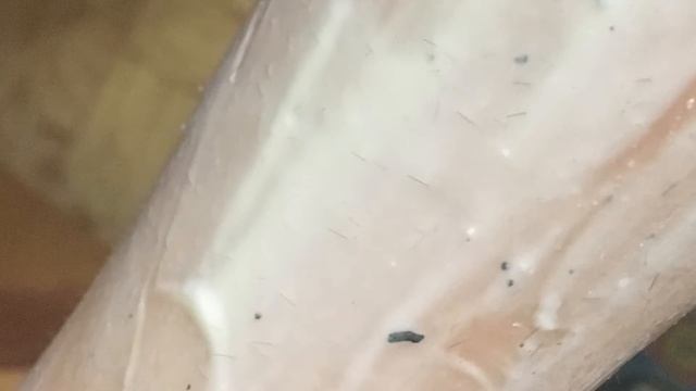 Пустые баночки ИЮЛЬ!Странный крем из EVA, Barbie и ностальгия детства. смотреть онлайн