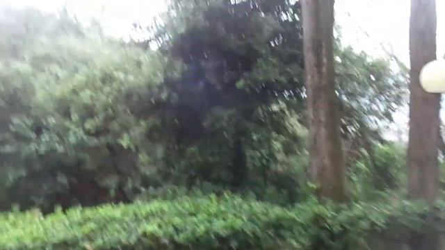 Башня Маркони в гнезде мафии, Сестри Леванте смотреть онлайн