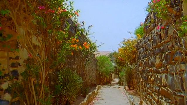 136. Сенегал, Остров Горе.