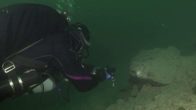 Sony Ax100 in Gates Housing смотреть онлайн