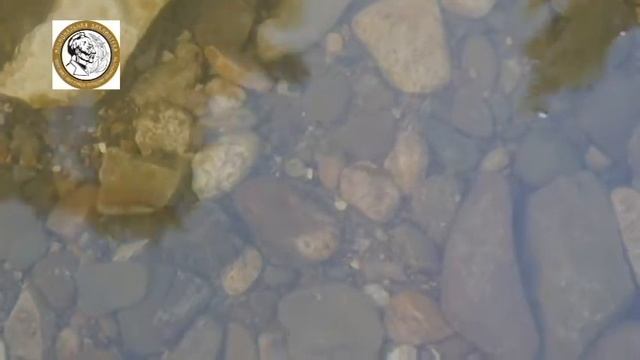 #БашкирскаяКлассика: Назар Наджми "Язык земли" смотреть онлайн