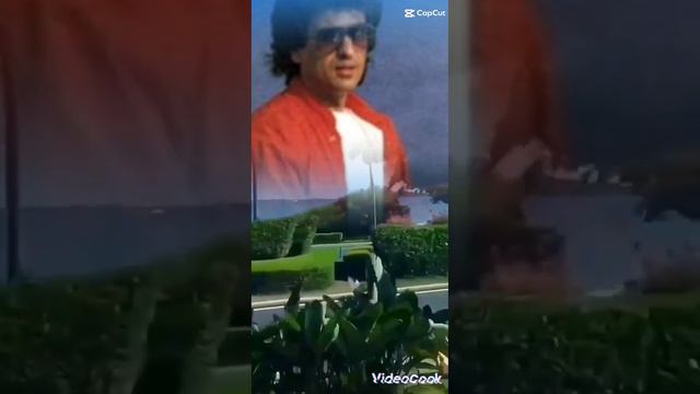 Toto Cutugno Amanti RAI Tv 📺 Live #totocutugno #raiuno #italia #musicaitaliana смотреть онлайн