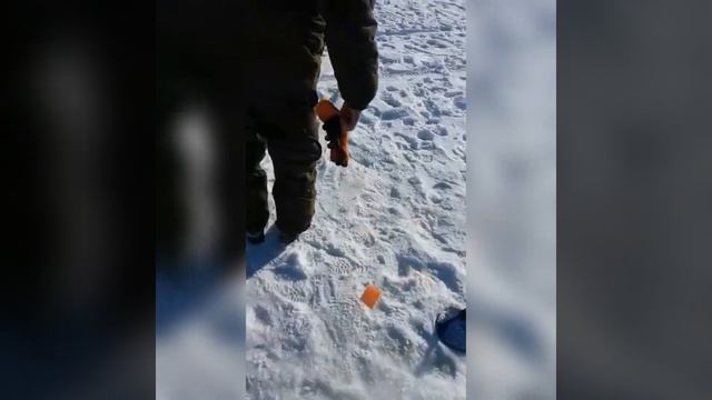 Рыбалка Казахстан. Коргалжынский заповедник оз.Сұлтан смотреть онлайн