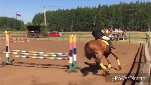 Соревнования в Челно-Вершинах. Конкур 70 см. смотреть онлайн