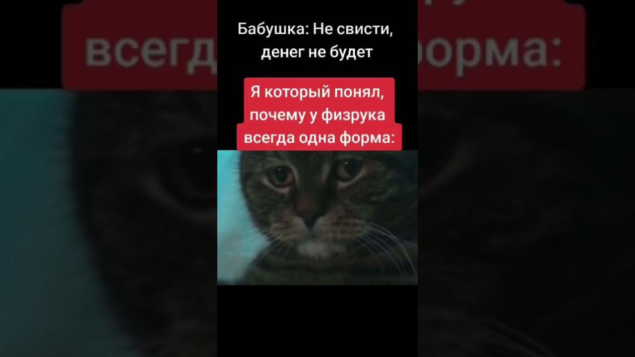почему у физрука одна форма #shorts #tiktok #memes #recommended смотреть онлайн