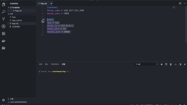 把玩我的 VPS 主机 - 内网穿透了解一下 смотреть онлайн