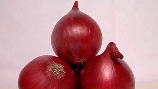 Сорт лука Кармен МС смотреть онлайн