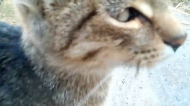 Печка для казана и сковородки смотреть онлайн