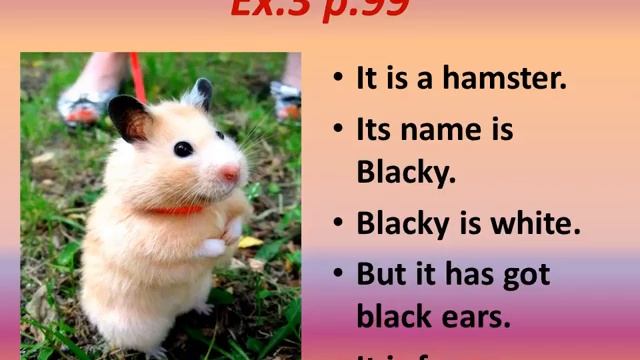 Балабан, Pets and Animals 2 класс смотреть онлайн