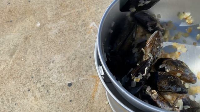 Free Seafood In Norway, Sandefjord