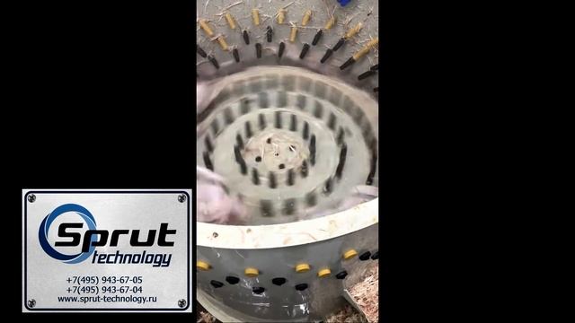 Перосъемная машина Спрут 1000. Обработка бройлера. смотреть онлайн