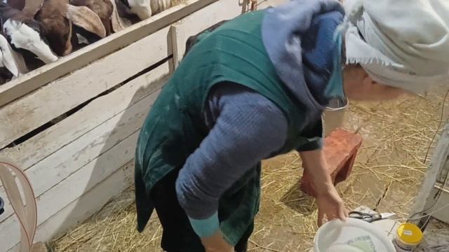 КОЗОВНИК БЕЗ ОБОГРЕВА ОЖИДАЕМ МОРОЗЫ смотреть онлайн