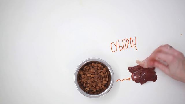 ИЗ ЧЕГО ДЕЛАЮТ СУХОЙ КОРМ ДЛЯ КОШЕК И СОБАК НА САМОМ ДЕЛЕ смотреть онлайн