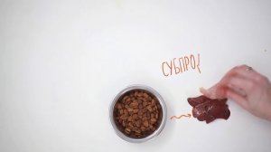 ИЗ ЧЕГО ДЕЛАЮТ СУХОЙ КОРМ ДЛЯ КОШЕК И СОБАК НА САМОМ ДЕЛЕ