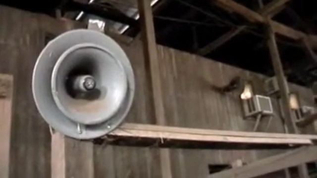 FROM THE COURTHOUSE: Livestock Auction смотреть онлайн