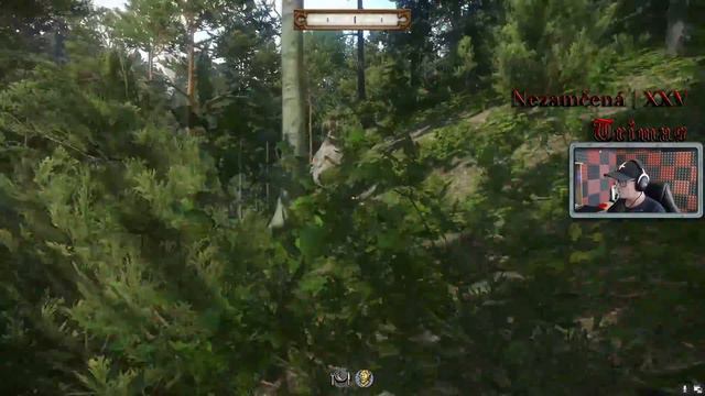 KCD | Poklady a kostky u Skalice | Treasures and dice at Skalitz смотреть онлайн