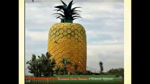 Онлайн- урок по теме "Домики, которые построила природа"