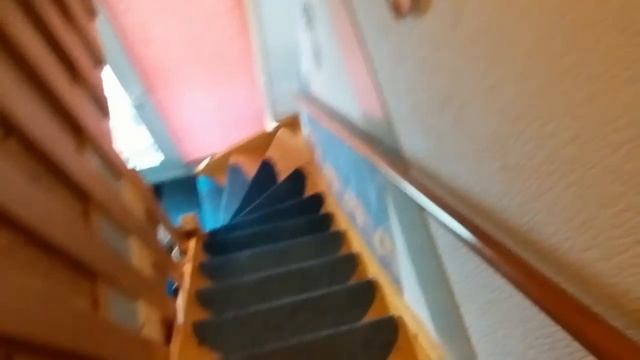 Funny dog climbs down the stairs смотреть онлайн
