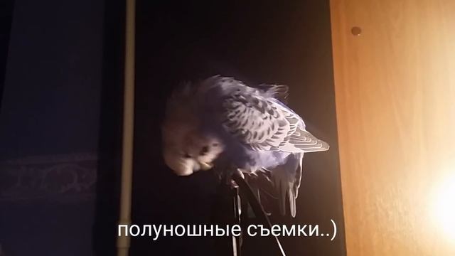 184 #Вышивальная неделя/Влог/Готовая вышивка, мой поваренок/Выставка поделок/Хочешь стать блогером? смотреть онлайн
