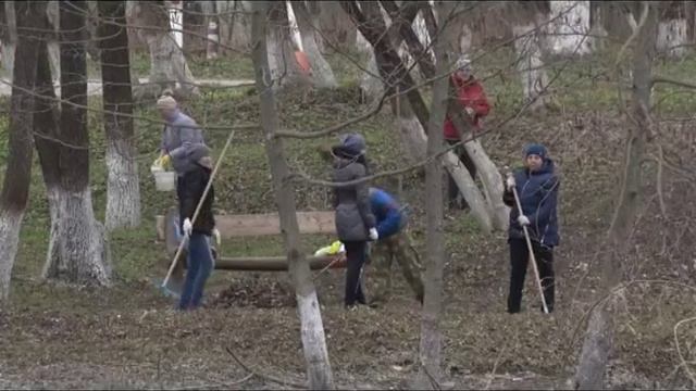 Субботники в Белгородской области смотреть онлайн