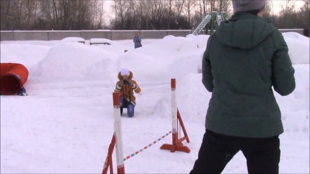 Дарья и аусси Чили Дебют 1место!!! смотреть онлайн