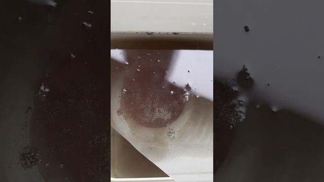 5 копеек 1792 (правление Екатерины II) - чистка медной монеты смотреть онлайн