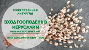 ?Прямая трансляция/Божественная Литургия/Вход Господень в Иерусалим (Вербное воскресенье).