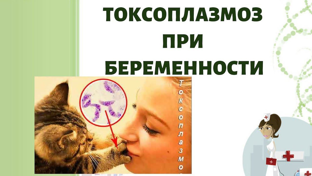 Токсоплазмоз при беременности!